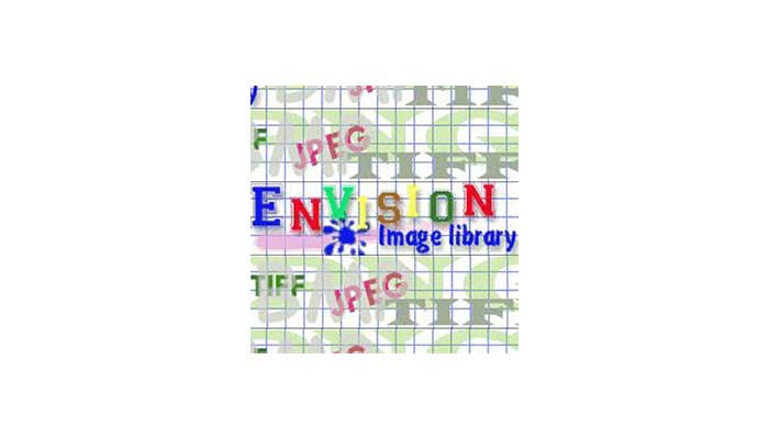 Interval Software Envision Image Library