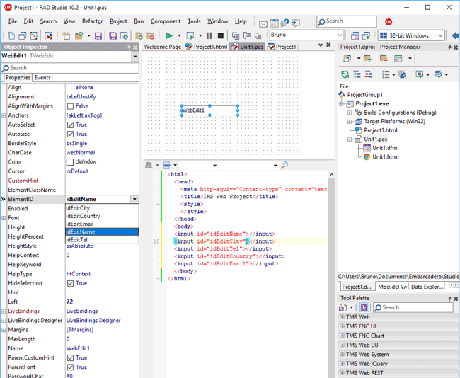 TMS WEB Core圖片