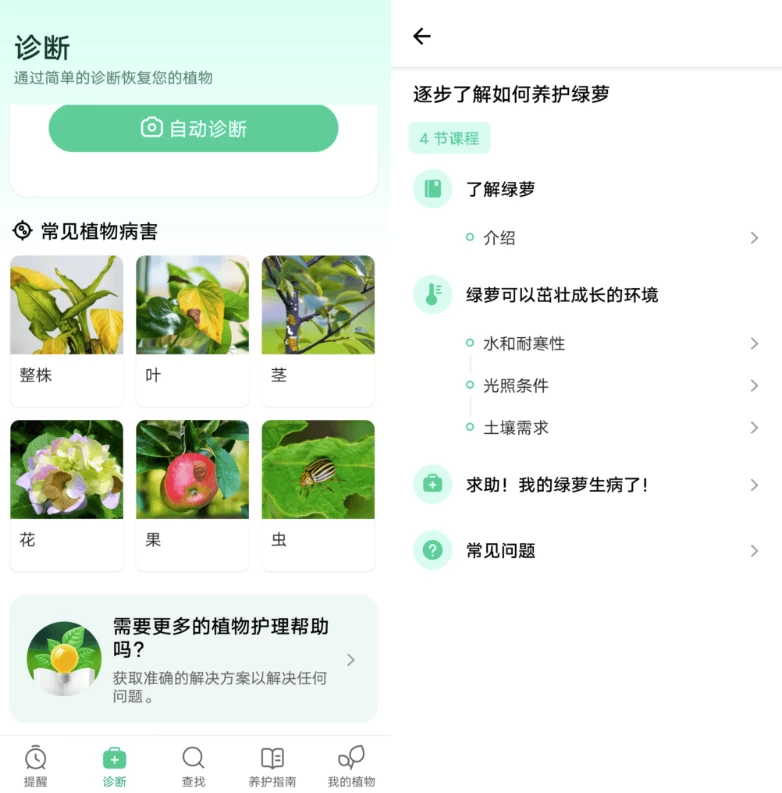 Plant Parent 植物養(yǎng)護