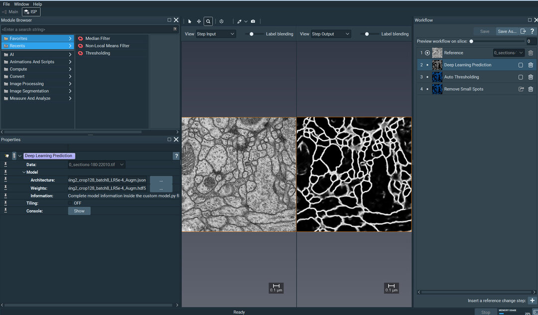 ThermoSientific AMIRA/AVIZO 3D