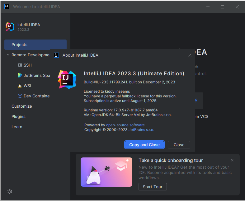 JetBrains IntelliJ IDEA Ultimate 2025.1 Win/macOS JAVA集成開發(fā)環(huán)境